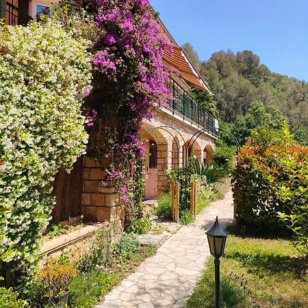Un Brin De Paille Villa Cagnes-sur-Mer Eksteriør billede