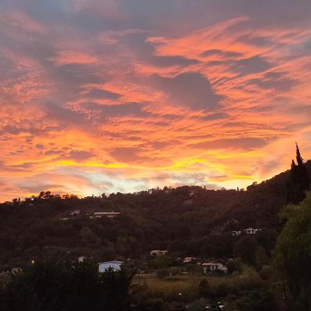 Un Brin De Paille Villa Cagnes-sur-Mer Eksteriør billede