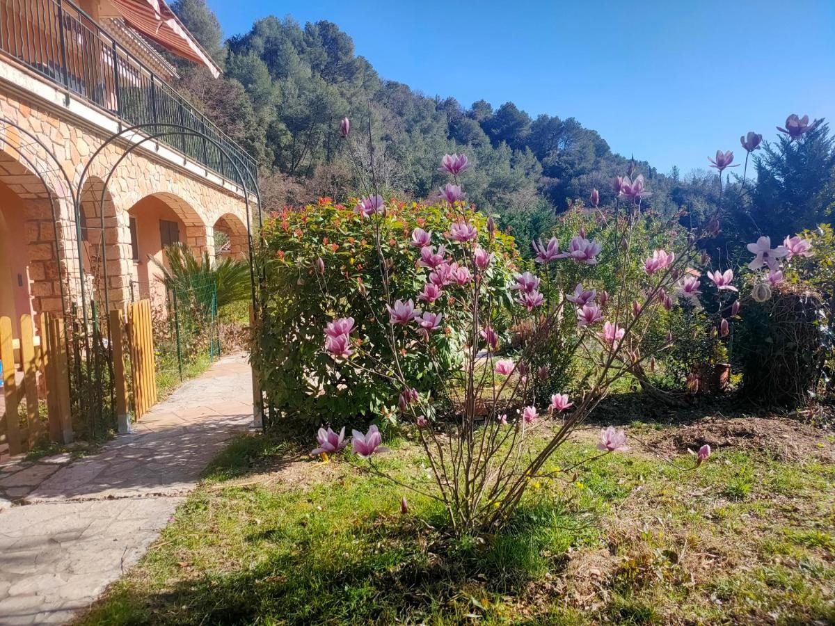 Un Brin De Paille Villa Cagnes-sur-Mer Eksteriør billede