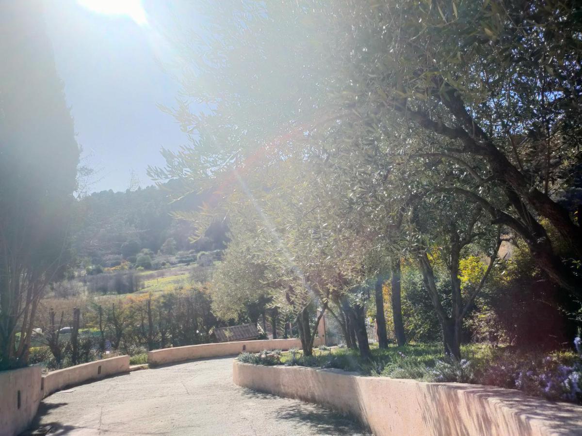 Un Brin De Paille Villa Cagnes-sur-Mer Eksteriør billede