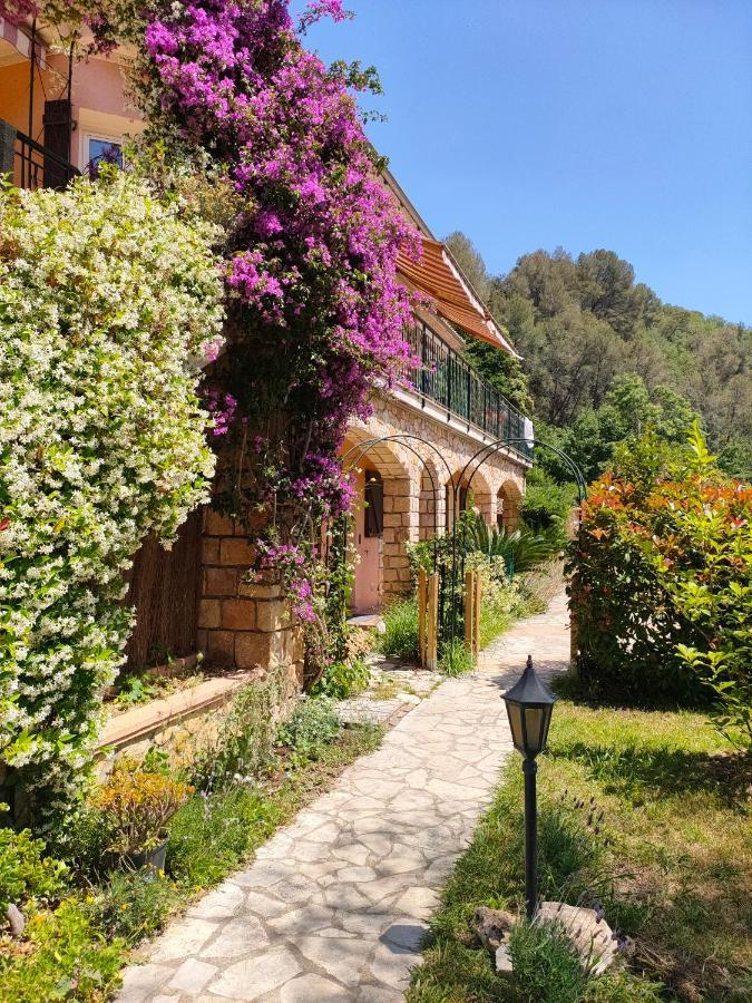 Un Brin De Paille Villa Cagnes-sur-Mer Eksteriør billede