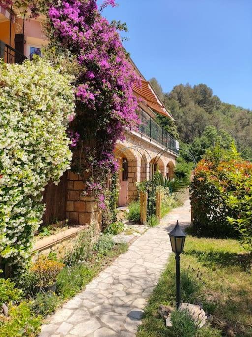 Un Brin De Paille Villa Cagnes-sur-Mer Eksteriør billede