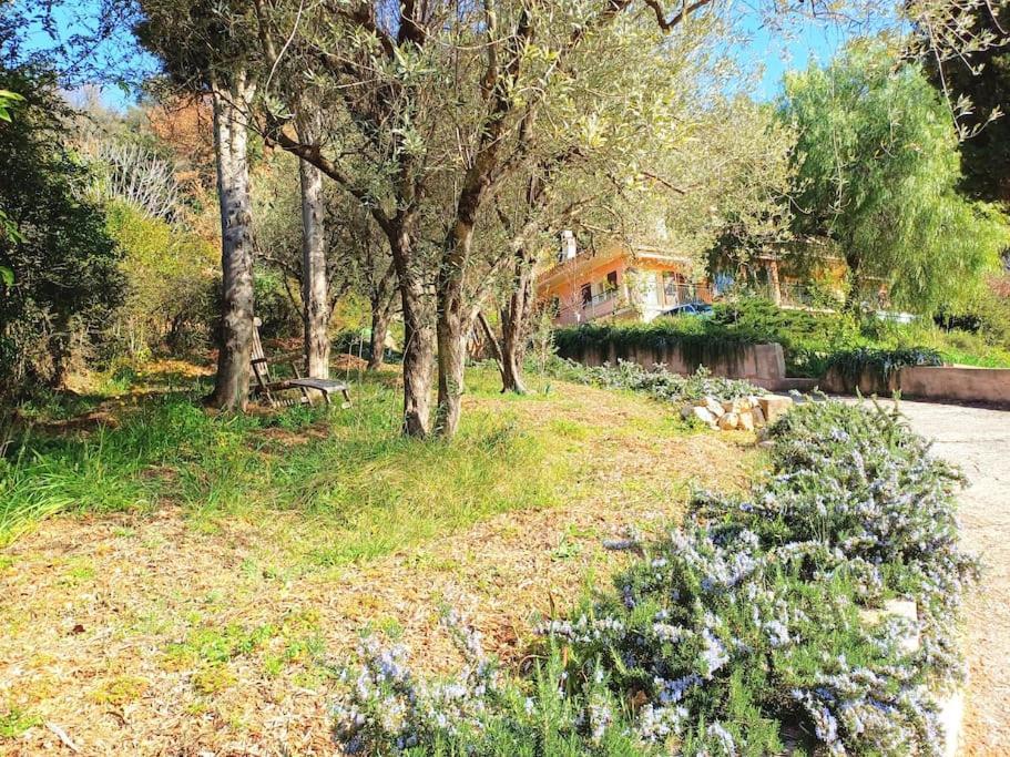 Un Brin De Paille Villa Cagnes-sur-Mer Eksteriør billede