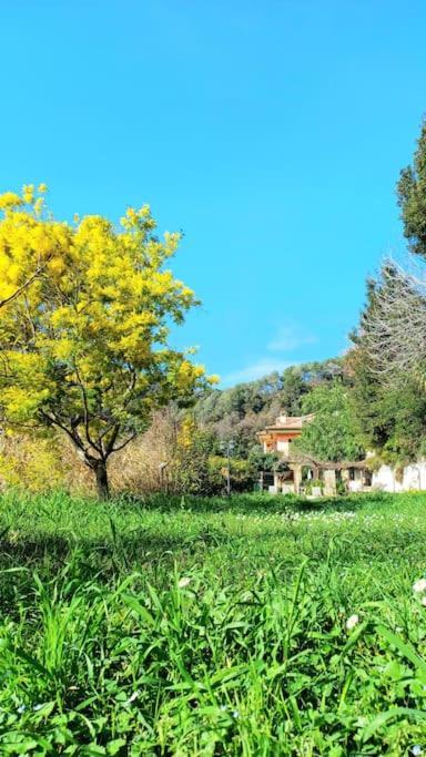 Un Brin De Paille Villa Cagnes-sur-Mer Værelse billede